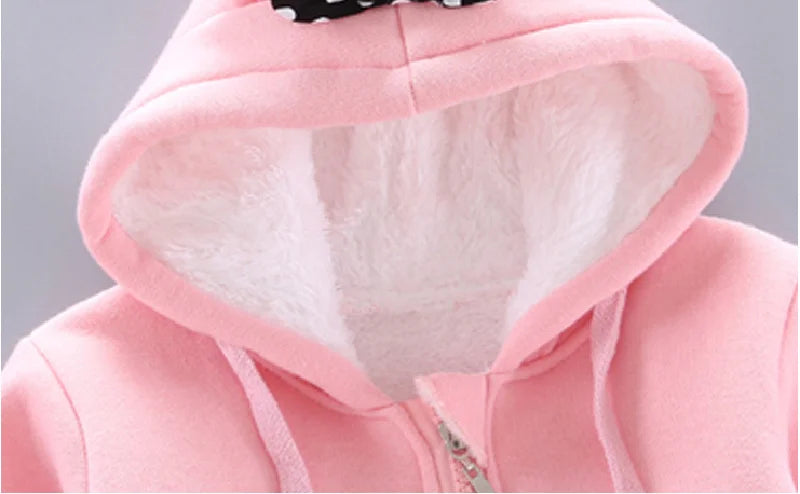 Toddler Clothes  Hooded & Pant 2pcs Outfit