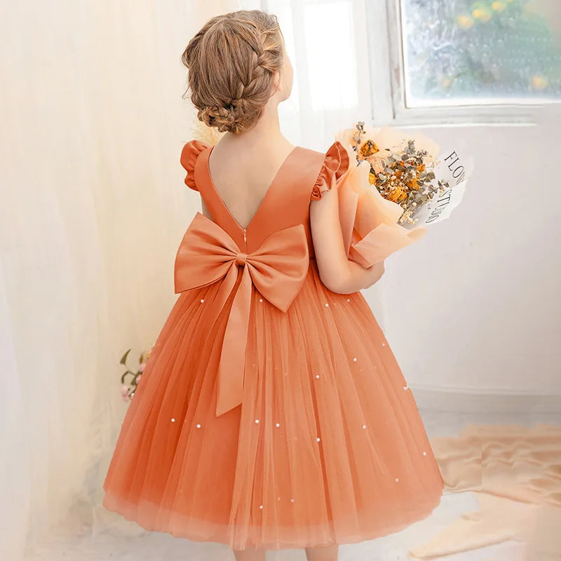 Fairy Princess Lace Party Dress for Girls Dance Stage Cosplay Costume Outfit
