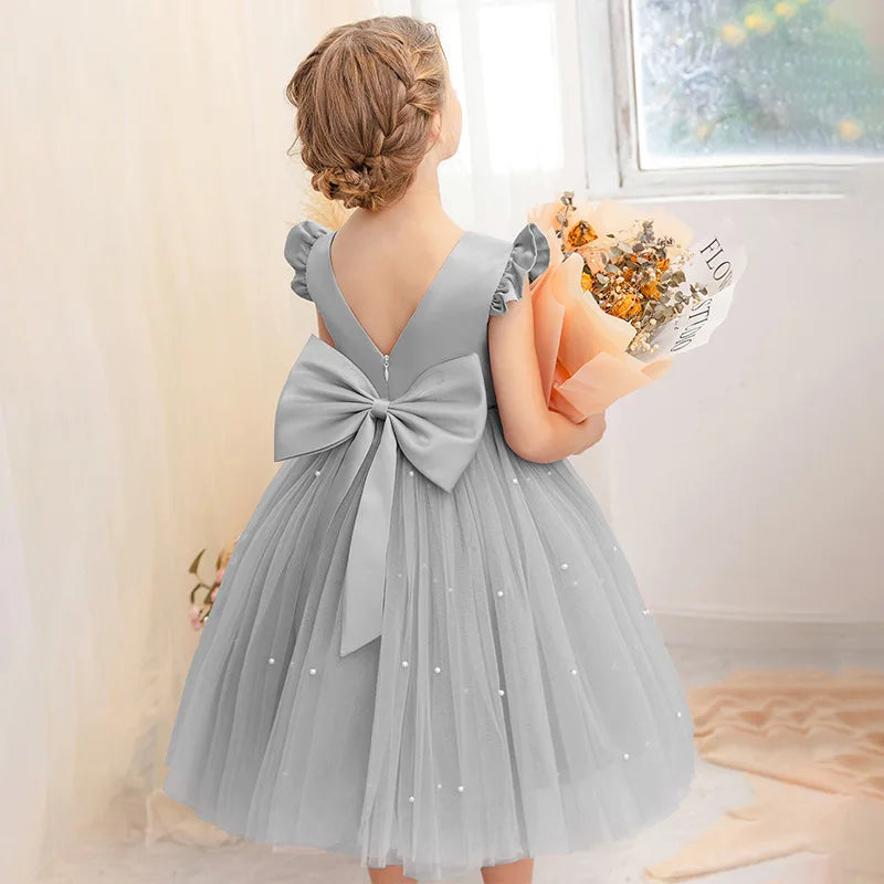 Fairy Princess Lace Party Dress for Girls Dance Stage Cosplay Costume Outfit