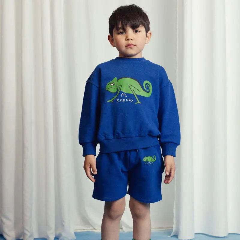 Children Sweatshirts Long Sleeve Tops Cartoon Boys Girls Pullovers Toddler Tees blue sweatshirt with green chameleon design worn by boy